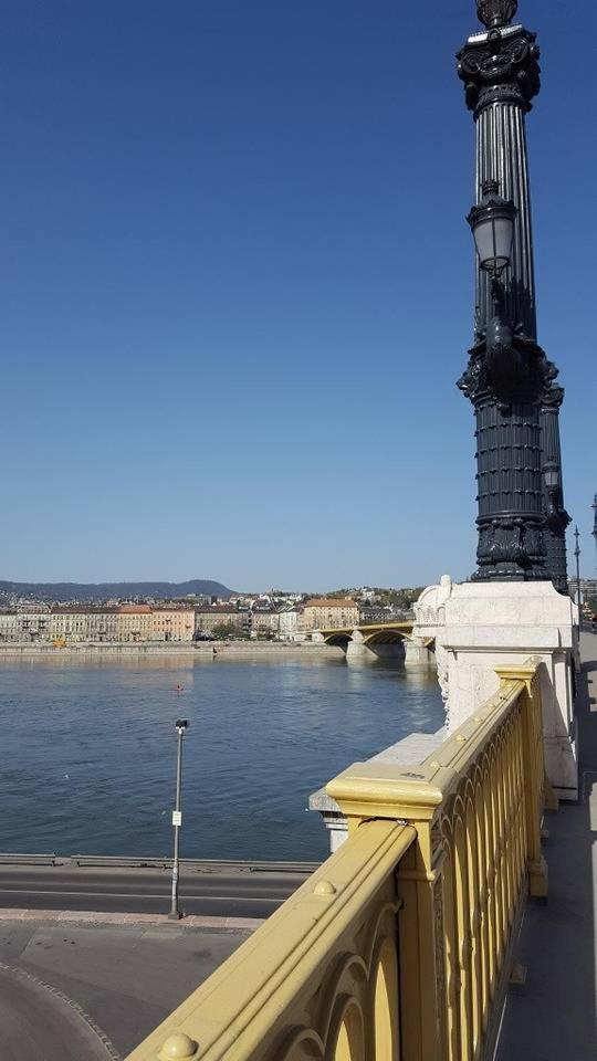 New, High Quality Apartment In The City Center Budapeszt Zewnętrze zdjęcie